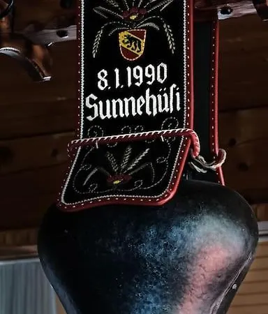 Drop In Mountain Дом отдыха Baechlen