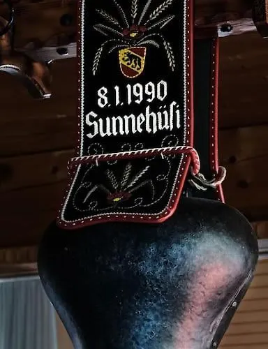 Drop In Mountain 度假居 Baechlen