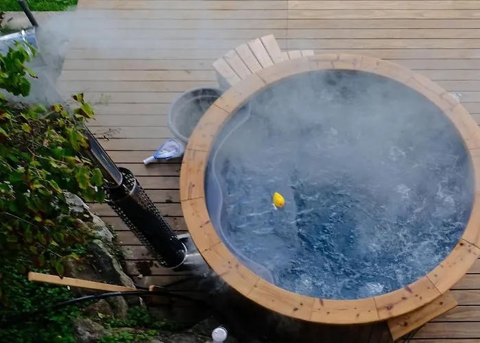 Drop In Mountain 度假居 Baechlen