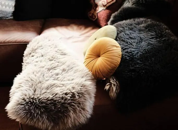 Drop In Mountain Feriehus