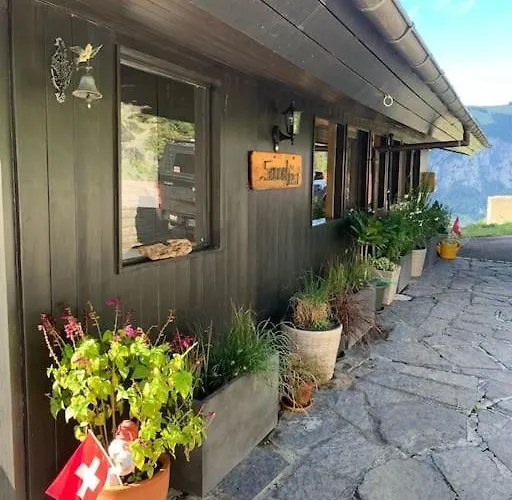 Feriehus Drop In Mountain Baechlen