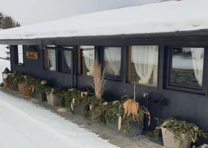 Feriehus Drop In Mountain